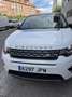 Land Rover Discovery Sport 2.0TD4 SE 4x4 Aut. 150 - thumbnail 13