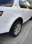 Land Rover Discovery Sport 2.0TD4 SE 4x4 Aut. 150 - thumbnail 10