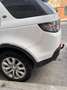 Land Rover Discovery Sport 2.0TD4 SE 4x4 Aut. 150 - thumbnail 12