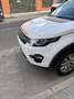 Land Rover Discovery Sport 2.0TD4 SE 4x4 Aut. 150 - thumbnail 8