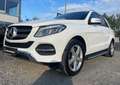 Mercedes-Benz GLE 250 D 4MATIC 9G-TRONIC*4MATMEMORY*LED*V.LEDER*360° Blanc - thumbnail 3