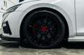Skoda Octavia SW RS 2.0 TFSI DSG Pano/Canton/H&R Weiß - thumbnail 20