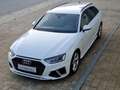 Audi A4 A4 TDI S-Tronic S-Line, Virtual*360° Kamera*ACC Weiß - thumbnail 3