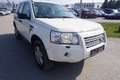 Land Rover Freelander 2,2 Td4_e E Weiß - thumbnail 4