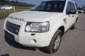 Land Rover Freelander 2,2 Td4_e E Weiß - thumbnail 12