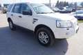Land Rover Freelander 2,2 Td4_e E Weiß - thumbnail 5