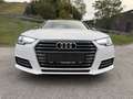 Audi A4 design 2.0 TDI Weiß - thumbnail 2