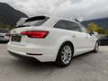 Audi A4 design 2.0 TDI Weiß - thumbnail 8