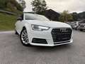 Audi A4 design 2.0 TDI Weiß - thumbnail 1