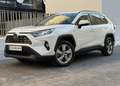 Toyota RAV 4 2.5 hybrid 4WD Advance Bianco - thumbnail 19