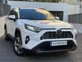Toyota RAV 4 2.5 hybrid 4WD Advance Bianco - thumbnail 16