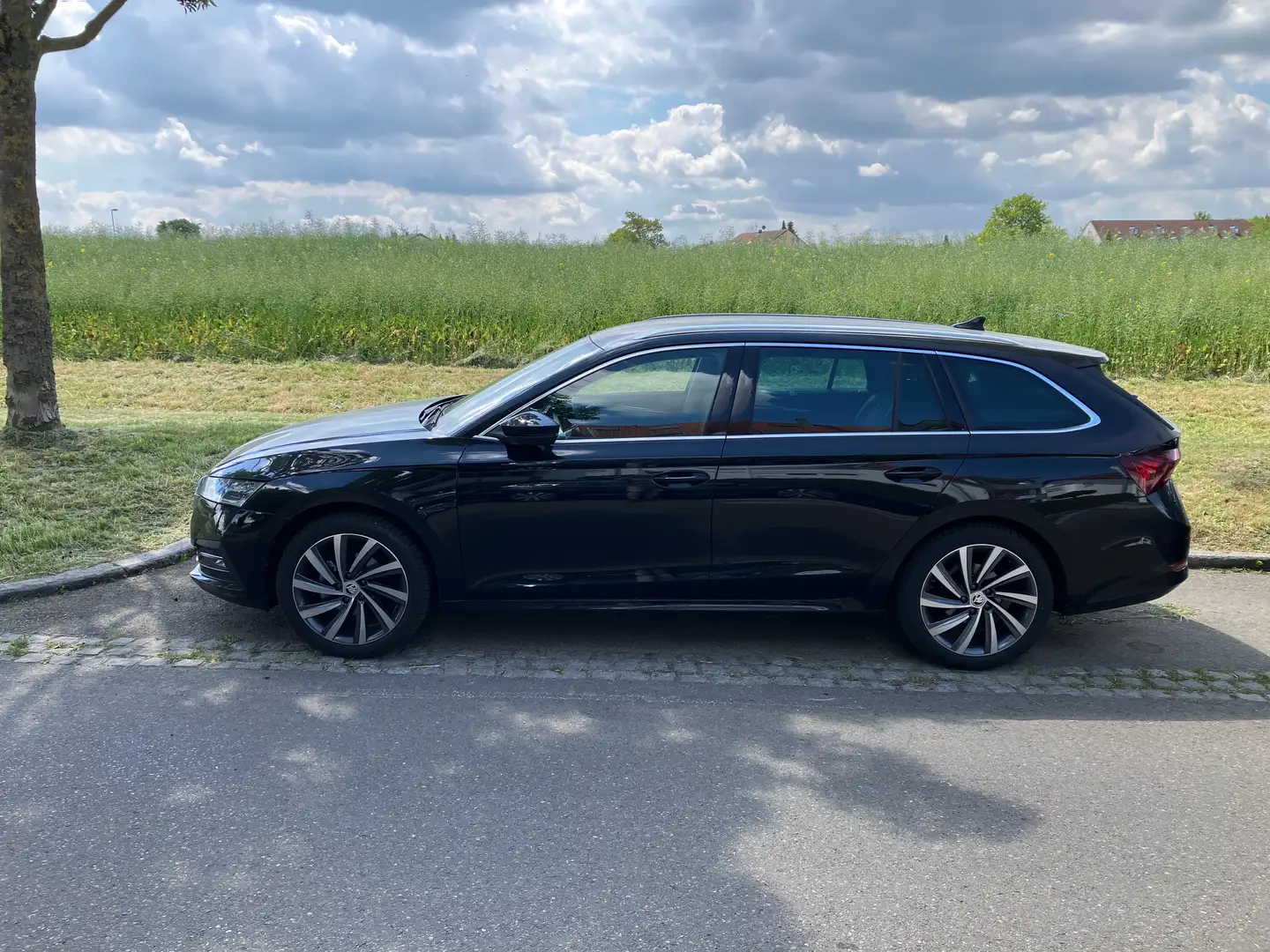 Skoda Octavia Octavia Combi 1.5 TSI e-TEC DSG Selection Plus Schwarz - 1