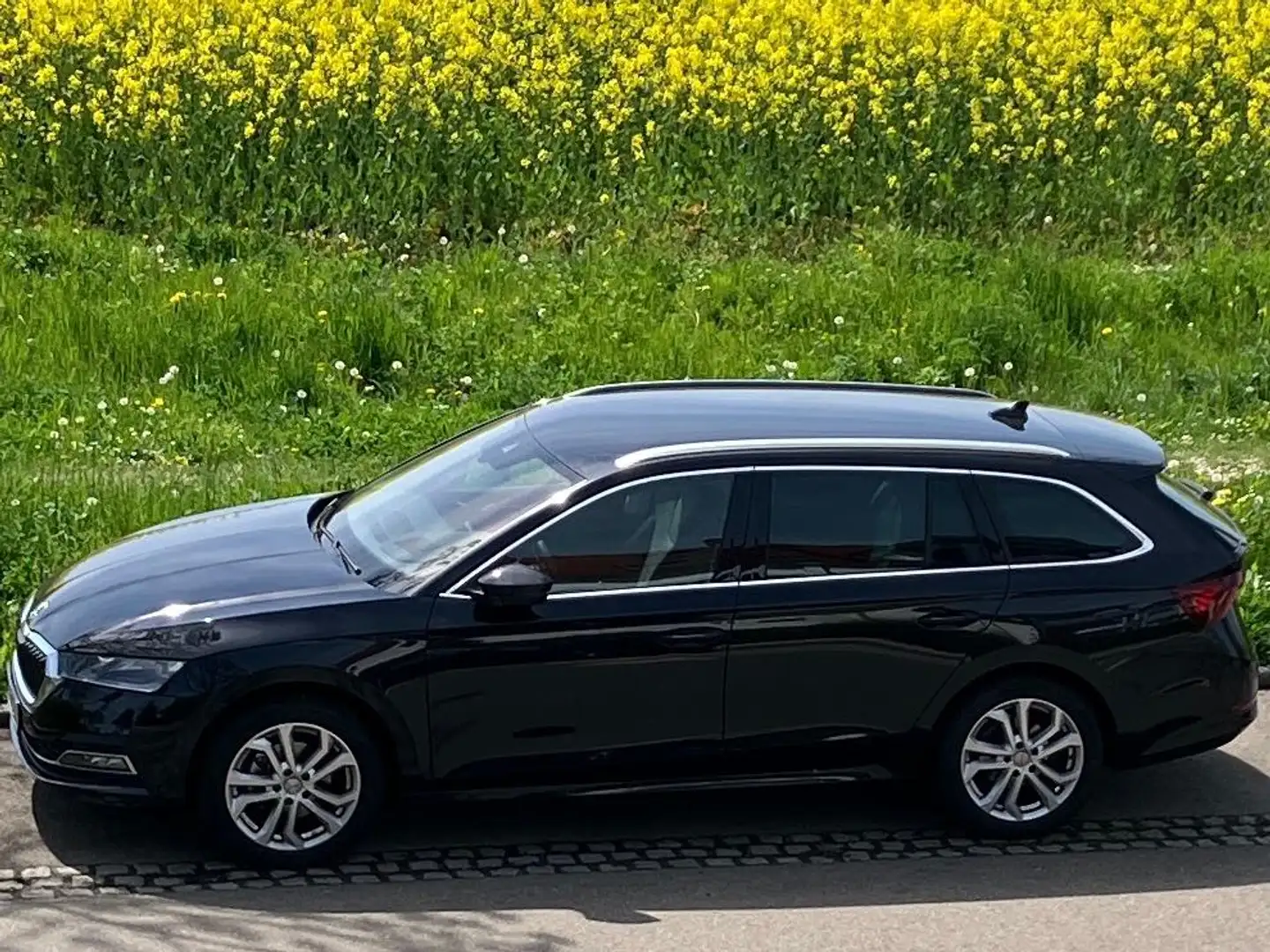 Skoda Octavia Octavia Combi 1.5 TSI e-TEC DSG Selection Plus Schwarz - 2