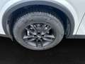 Nissan Qashqai N-Connecta 1.3 DIG-T MHEV Winter-Paket Kamera SHZ Weiß - thumbnail 8