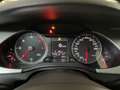 Audi A4 A4 Avant 2.0 TDI 143CV F.AP. multitronic Advanced Weiß - thumbnail 14