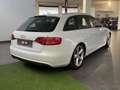 Audi A4 A4 Avant 2.0 TDI 143CV F.AP. multitronic Advanced Weiß - thumbnail 5