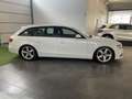Audi A4 A4 Avant 2.0 TDI 143CV F.AP. multitronic Advanced Weiß - thumbnail 4
