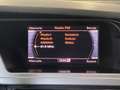 Audi A4 A4 Avant 2.0 TDI 143CV F.AP. multitronic Advanced Weiß - thumbnail 18