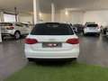 Audi A4 A4 Avant 2.0 TDI 143CV F.AP. multitronic Advanced Weiß - thumbnail 6