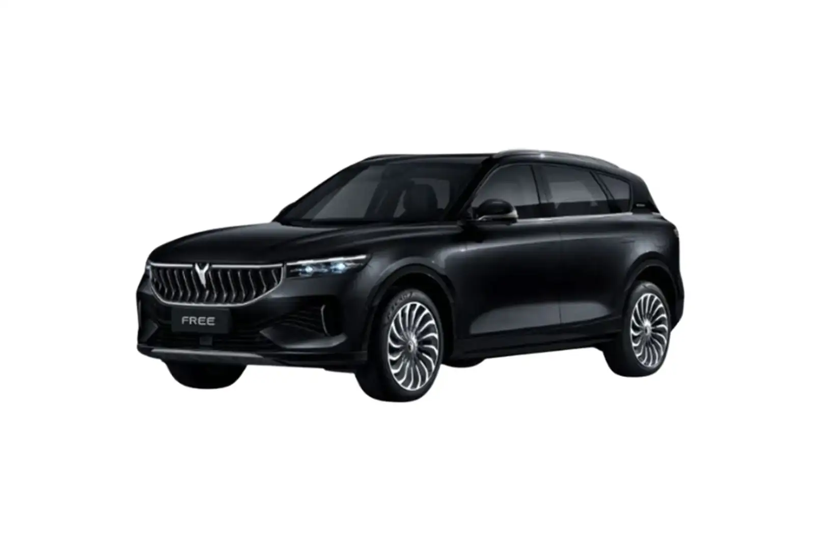 Voyah Free 107kW Luxury MY24 Noir - 2