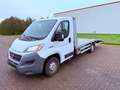 Fiat Ducato 130 L3 Autotransporter RS: 3800 mm Weiß - thumbnail 3