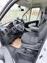 Fiat Ducato 130 L3 Autotransporter RS: 3800 mm Weiß - thumbnail 12