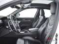 Maserati Grecale 2.0 mhev Modena 330cv auto Alb - thumbnail 9
