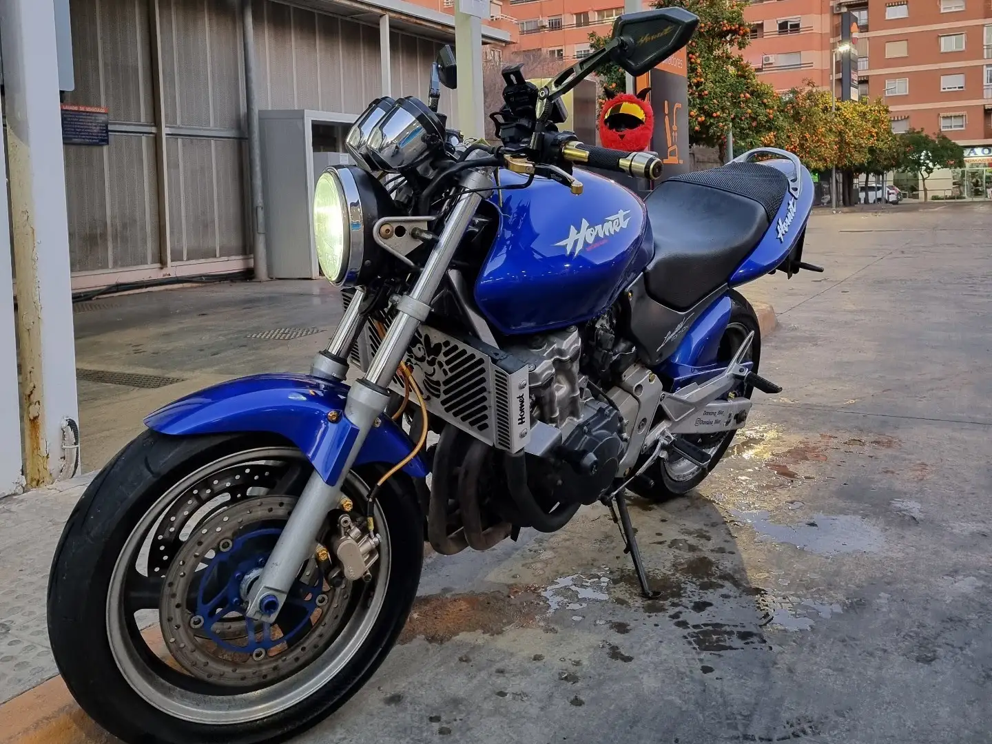 Honda Hornet Blu/Azzurro - 1