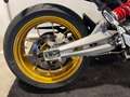 Aprilia Dorsoduro DORSODURO 750 - SCARICHI ARROW Bianco - thumbnail 9