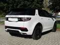Land Rover Discovery Sport Discovery Sport I 2015 2.0 td4 SE awd 150cv autom. White - thumbnail 1