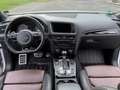 Audi SQ5 SQ5 3.0 TDI quattro tiptronic TopAusgestattet Weiß - thumbnail 4