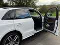 Audi SQ5 SQ5 3.0 TDI quattro tiptronic TopAusgestattet Weiß - thumbnail 12