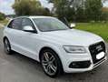 Audi SQ5 SQ5 3.0 TDI quattro tiptronic TopAusgestattet Weiß - thumbnail 13