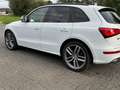 Audi SQ5 SQ5 3.0 TDI quattro tiptronic TopAusgestattet Weiß - thumbnail 2