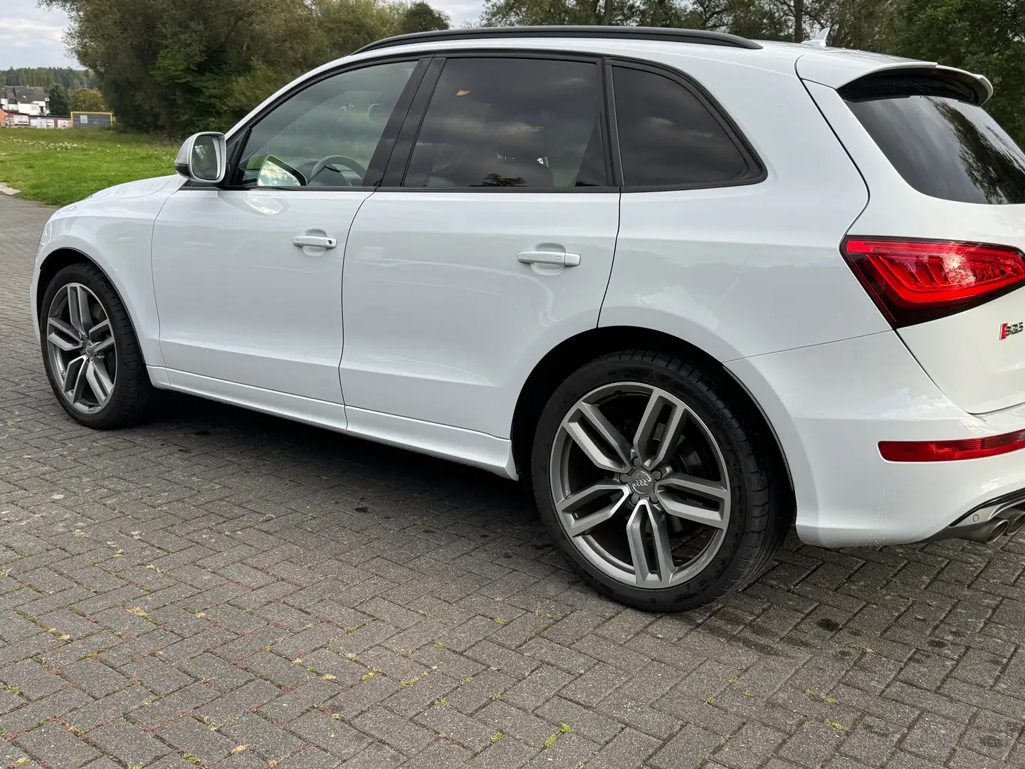 Audi SQ5 SQ5 3.0 TDI quattro tiptronic TopAusgestattet Weiß - 2