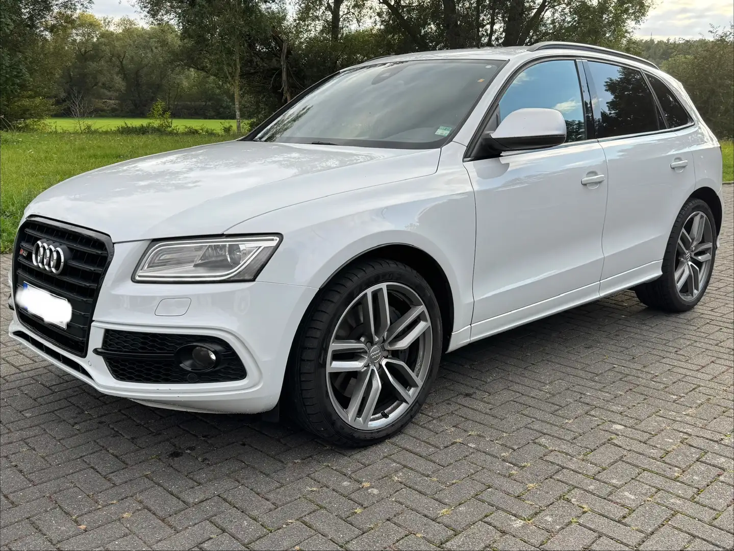 Audi SQ5 SQ5 3.0 TDI quattro tiptronic TopAusgestattet Weiß - 1