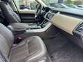 Land Rover Range Rover Sport D249 Hse Dynamic Grigio - thumbnail 15