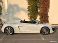 Audi R8 5.2 v10 fsi 525 r-tronic Weiß - thumbnail 10