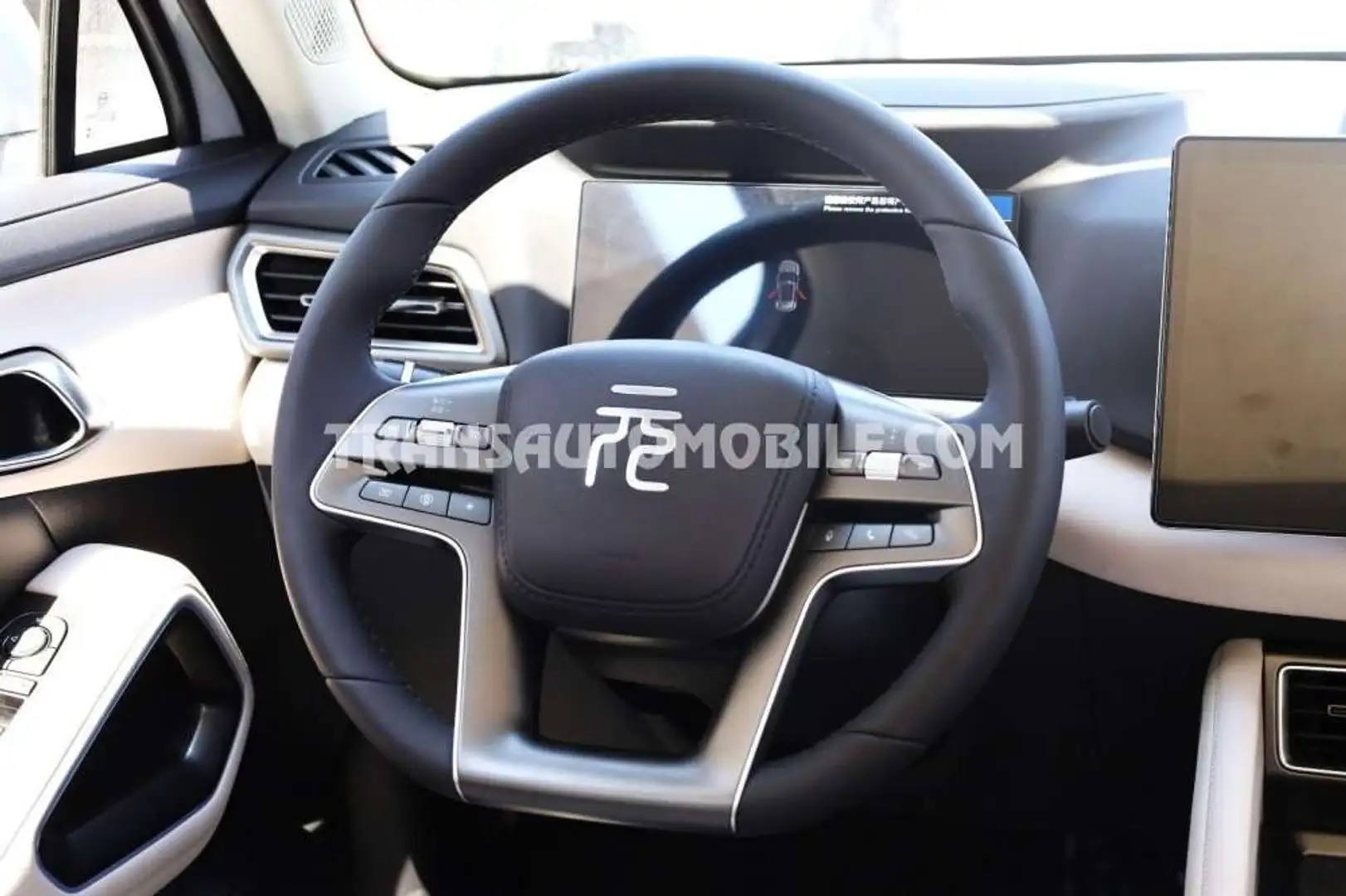 BYD Beyond 401 km Gris - 2