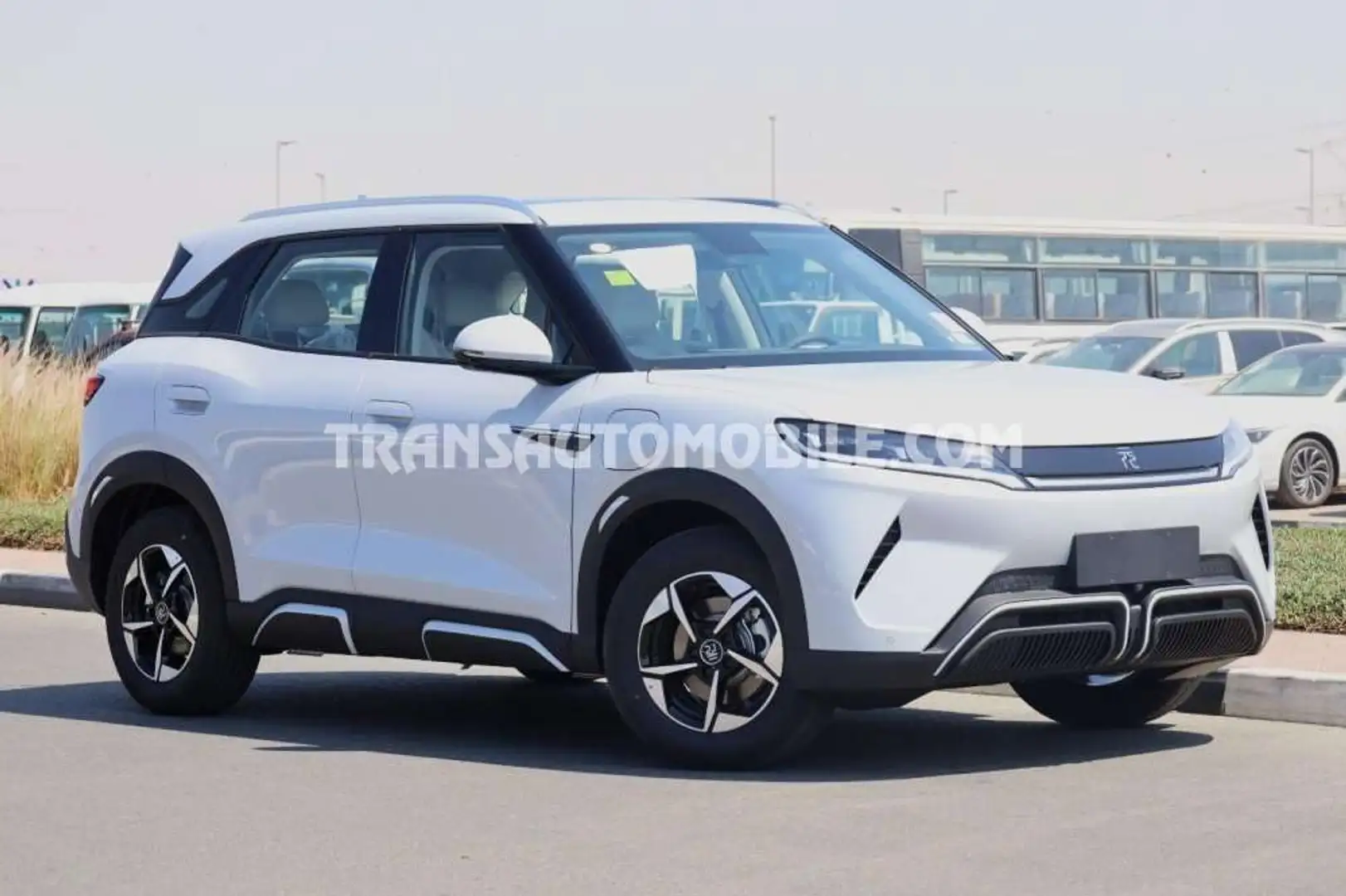 BYD Beyond 401 km Gris - 1