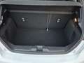 Ford Fiesta 1.0 mhev ecoboost st-line 92kW 125pk | Comfort pak Wit - thumbnail 32