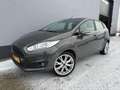 Ford Fiesta 1.0 EcoBoost Titanium - Cruise Control - 1e Eig. Grau - thumbnail 1