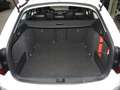 Skoda Octavia Combi 1.5 TSI DSG Style NAVI LED ACC Leder Weiß - thumbnail 12