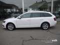 Skoda Octavia Combi 1.5 TSI DSG Style NAVI LED ACC Leder Weiß - thumbnail 3