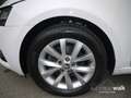 Skoda Octavia Combi 1.5 TSI DSG Style NAVI LED ACC Leder Weiß - thumbnail 13