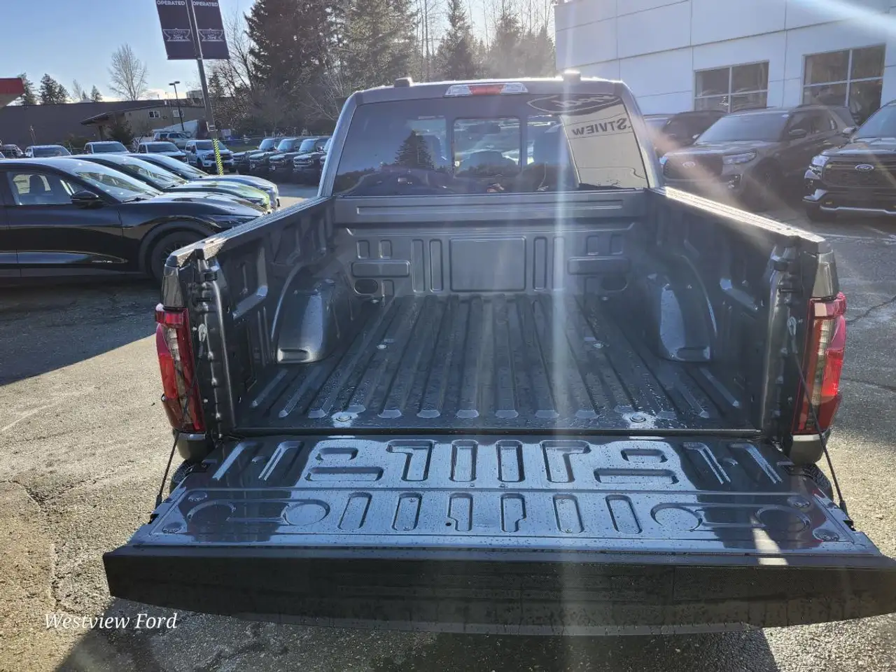 Ford F 150 снимка Ford F 150