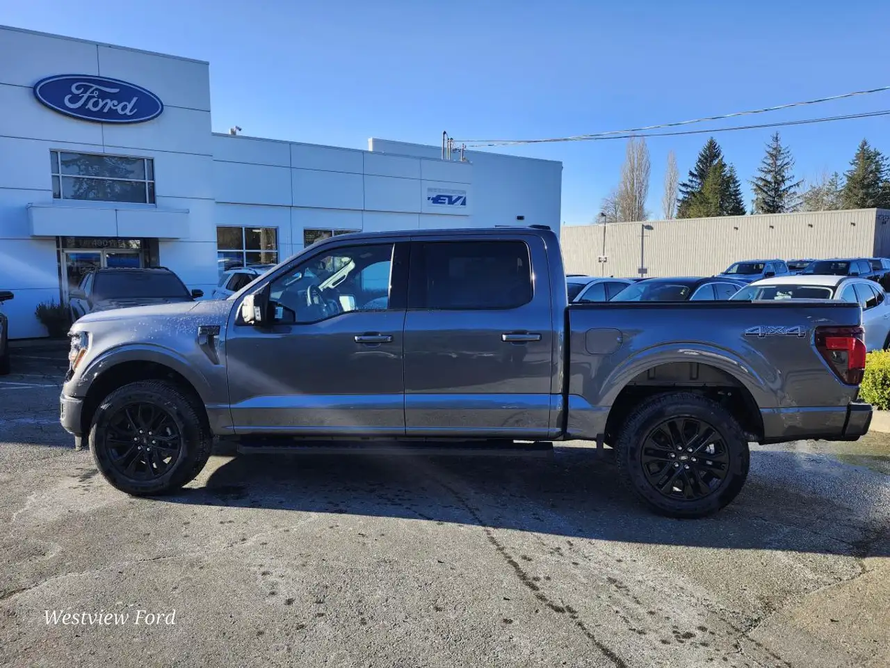 Ford F 150 снимка Ford F 150