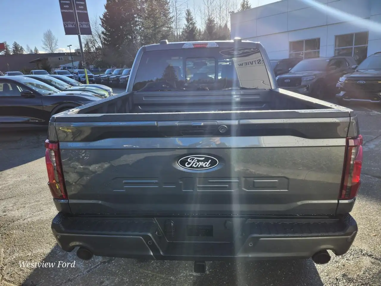 Ford F 150 снимка Ford F 150