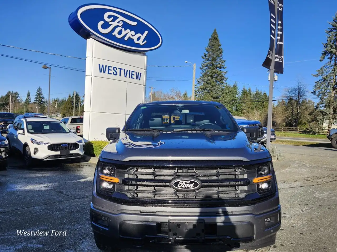 Ford F 150 снимка Ford F 150