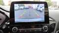Ford Fiesta 1,0 74kW  Titanium Automatik*PDC-SHZ-NAVI Grau - thumbnail 14